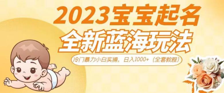 2023宝宝起名全新蓝海玩法，冷门暴力小白实操，日入1000+（全套教程）【揭秘】-中创网_分享创业资讯_网络项目资源