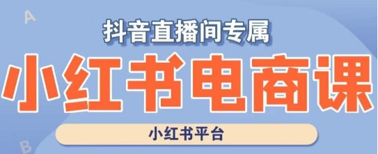 小红书电商高级运营课程，实操教学+案例分析-中创网_分享创业资讯_网络项目资源