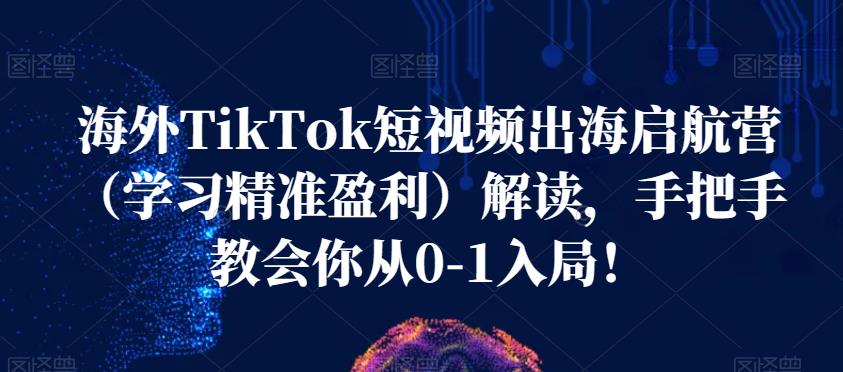 海外TikTok短视频出海启航营（学习精准盈利）解读，手把手教会你从0-1入局！-中创网_分享创业资讯_网络项目资源