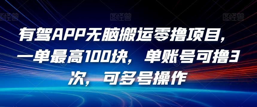 有驾APP没脑子运送零撸新项目，一单最大100块，单账户可撸3次，可多号实际操作【揭密】-韬哥副业项目资源网