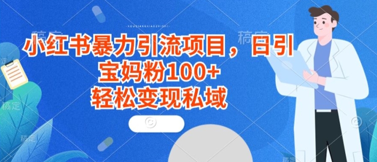 小红书暴力引流项目，日引宝妈粉100+，轻松变现私域-中创网_分享创业资讯_网络项目资源