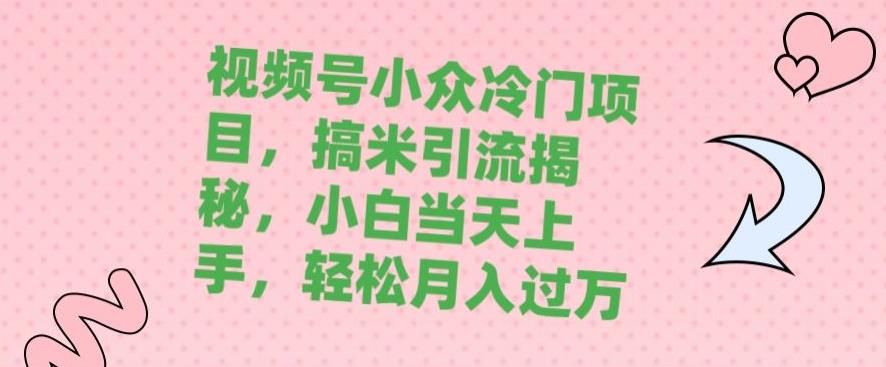 视频号小众蓝海项目，搞米推广方法揭秘，初学者当日新手入门，轻松月入过万-中创网_分享创业资讯_网络项目资源