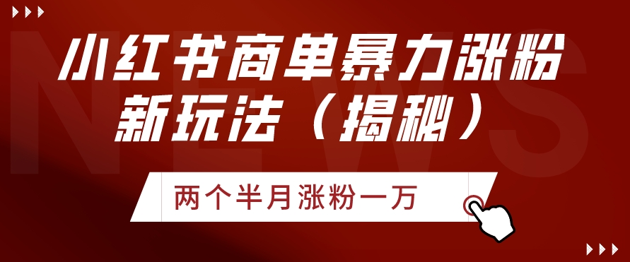 小红书商单暴力涨粉新玩法两个半月涨粉一万（揭秘）-中创网_分享创业资讯_网络项目资源