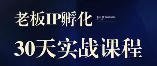 诸葛亮·2023老总IP实战演练课，实体线同城引流拓客，IP卵化必听-中创网_分享创业资讯_网络项目资源