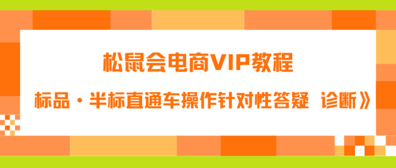 松鼠会电商VIP教程《付费推广标品·半标直通车操作针对性答疑&诊断》-中创网_分享创业资讯_网络项目资源