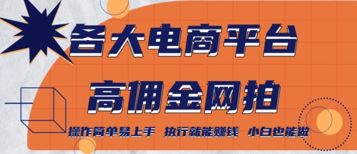 各大电商平台高佣金网拍，操作简单易上手，执行就能赚钱，小白也能做-中创网_分享创业资讯_网络项目资源