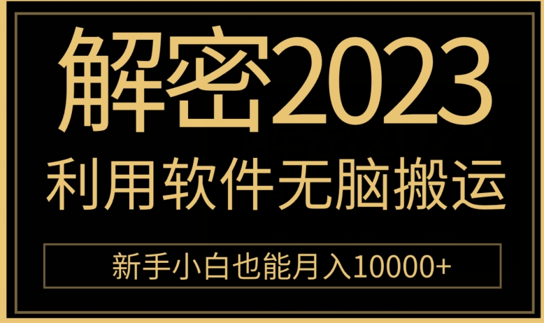 破译2023利用计算机没脑子运送，新手入门也可以月入10000-韬哥副业项目资源网