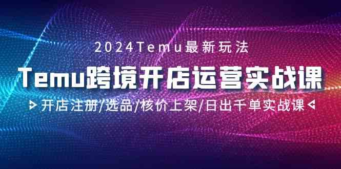 2024Temu跨境电商开店运营实战演练课，开实体店申请注册/选款/核算成本发布/日出千单实战演练课-中创网_分享创业资讯_网络项目资源