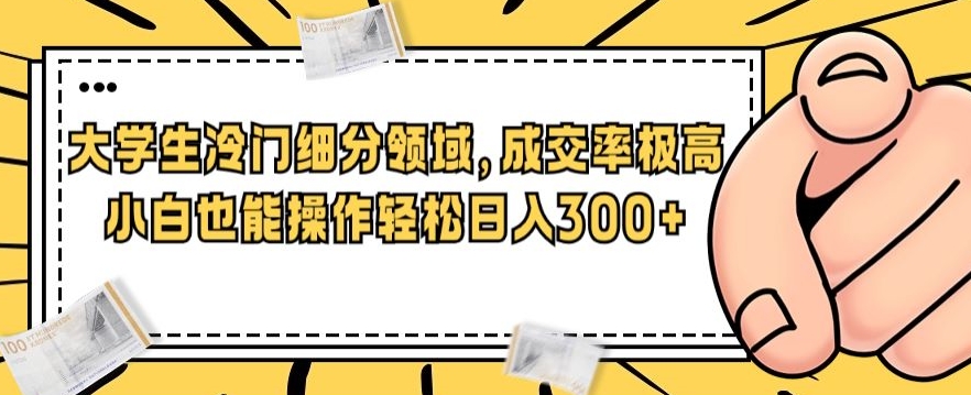 一个大学生小众细分行业，成交转化率非常高，小白都能实际操作，轻轻松松日入300-韬哥副业项目资源网