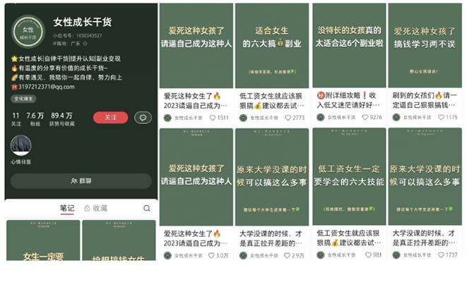 小红书各行业引流玩法，从养号到制作到引流等，一条龙分享给你-中创网_分享创业资讯_网络项目资源