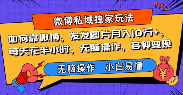 怎样靠新浪微博，发发图月入10万 ，每天花费三十分钟，没脑子实际操作，多种多样转现-暖阳网-优质付费教程和创业项目大全-中创网_分享创业资讯_网络项目资源