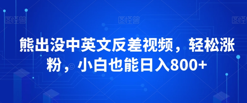 熊出没中英文反差视频，轻松涨粉，小白也能日入800+-中创网_分享创业资讯_网络项目资源