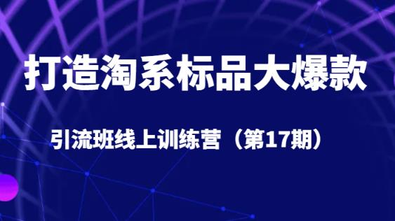 打造出淘宝标准品大爆品引流方法班线上训练营5天直播授课-韬哥副业项目资源网